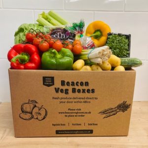 Salad Boxes