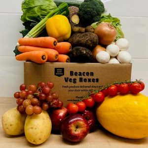 NEW FRUIT, VEG,SALAD BOX