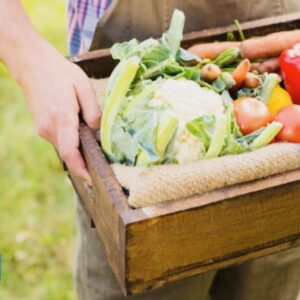 Beacon Veg Boxes