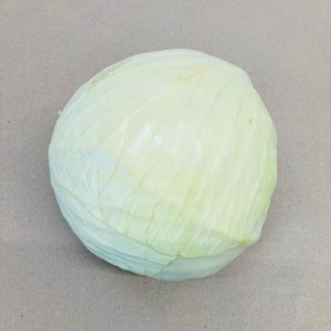 White Cabbage