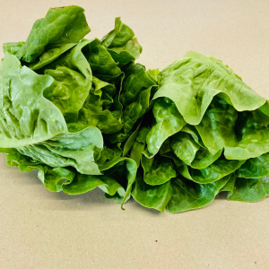 Little Gem Lettuce