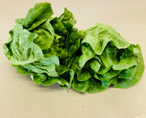 Little Gem Lettuce