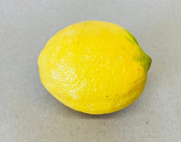 Single Lemon