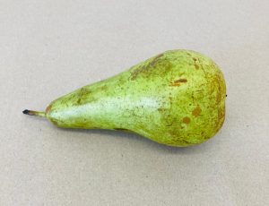 Conference Pear