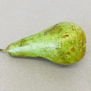 Conference Pear