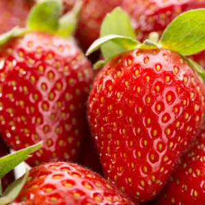 strawberry-day1-scaled