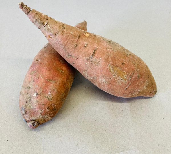 Sweet Potato