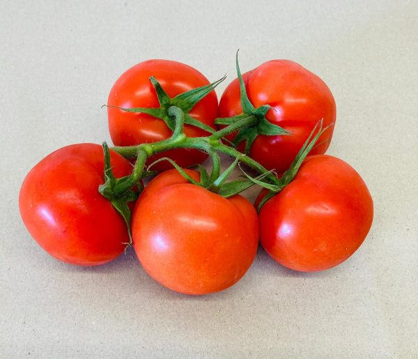 Vine Tomatoes