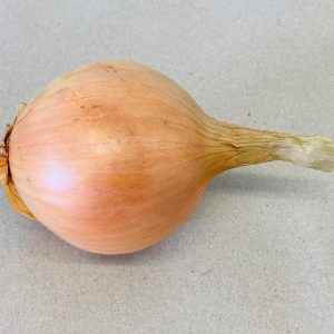 White Onion