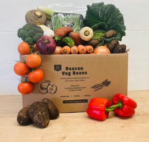 Large Veg Box